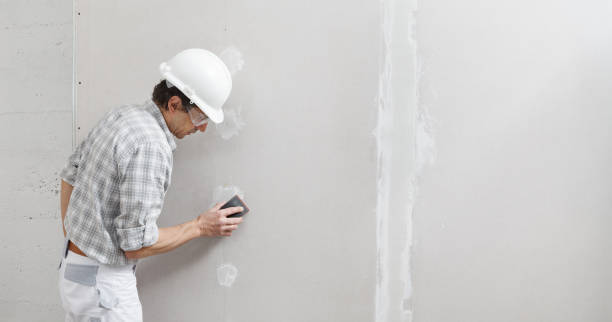 Trusted Hornsby Bend, TX Mold Removal Experts