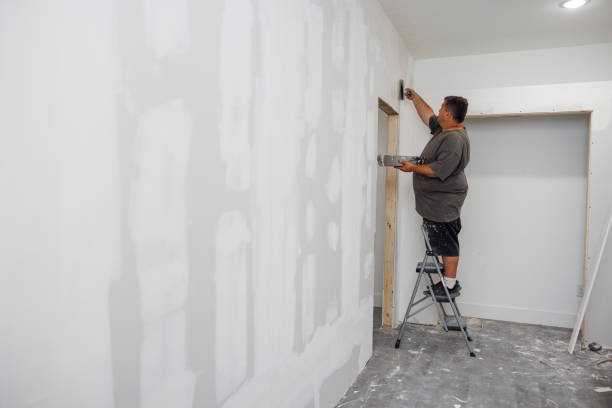 Forensic Mold Investigation in Hornsby Bend, TX